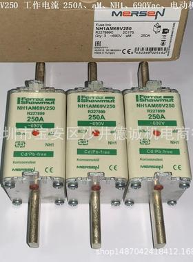 NH1AM69V250 R227899 熔断器 250A、NH1、aM、690Vac、电动机保护