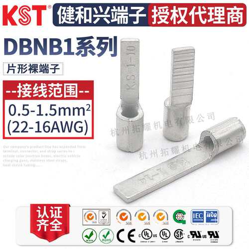 KST健和兴端子 DBNB1-9/10/11/13/14 K.S片形裸端头 UL RoHS认证