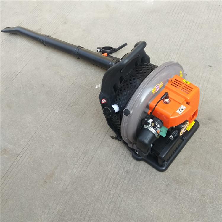 手提式路面吹风机 EB260风力落叶清扫机 家用小型吸树叶机