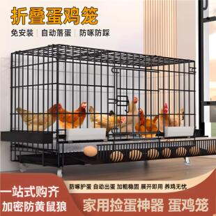 鸡笼家用室内自动清粪室外防雨大号小鸡专用笼子折叠养殖鸭鹅鸡舍