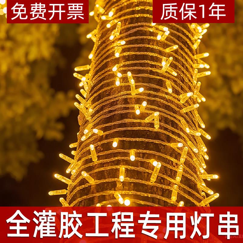全灌胶防水灯串高亮led彩灯灯串串满天星节日树灯装饰灯耶诞灯