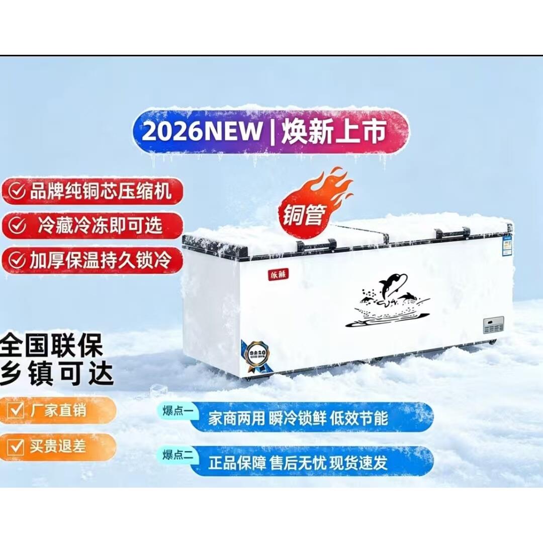 商用冰柜大容量冻肉柜单温深度冷冻柜双温节能降噪铜管智能大冰柜