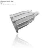 防爆孔灯Bsd 100防爆聚光灯防爆灯辐照照明工厂照明