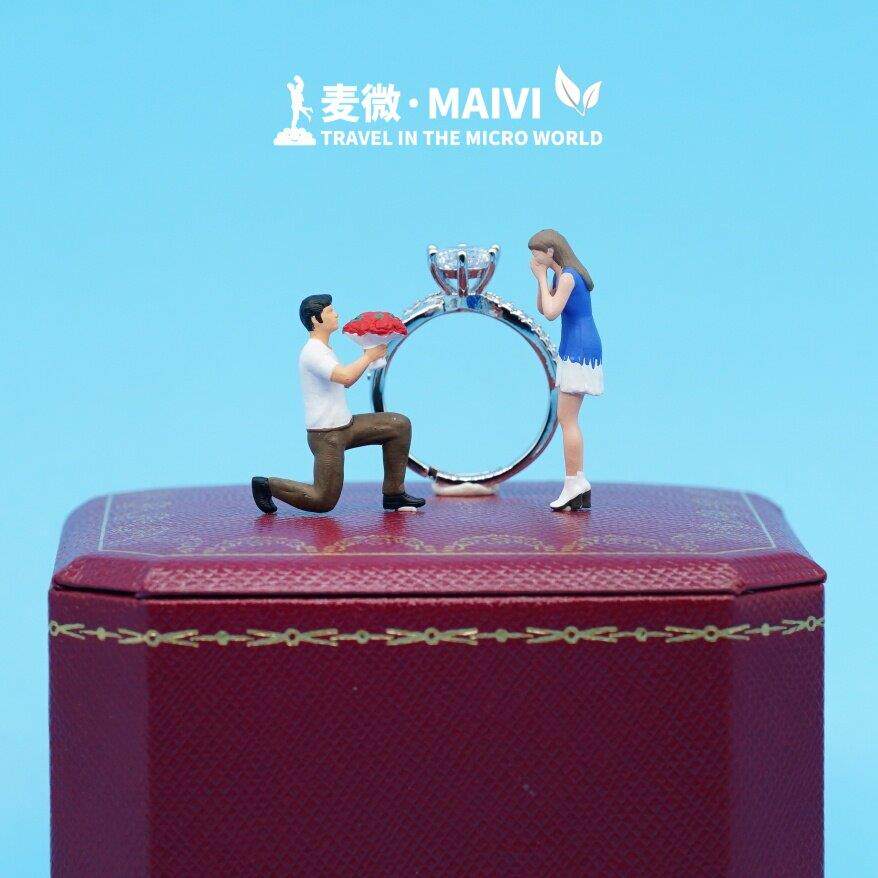 1:64麦微人偶 求婚礼物钻戒盒装饰苔藓微景观模型配沙盘场景小人