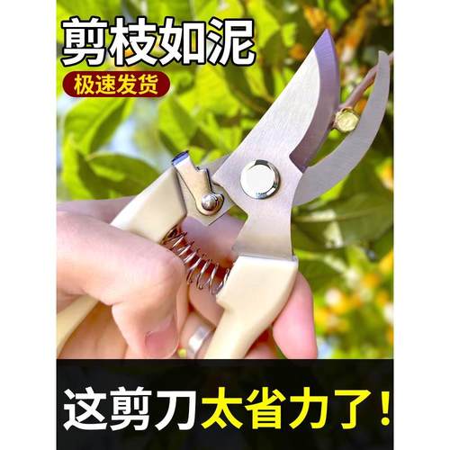 日本原装进口剪树枝剪刀专用花剪园艺园林修枝园丁剪嫁接强力采摘