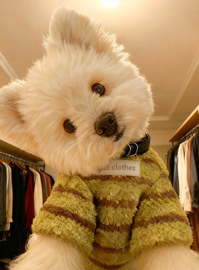 绿色条纹狗狗衣服小型犬冬装加绒加厚宠物两脚毛衣泰迪西高地绒衣