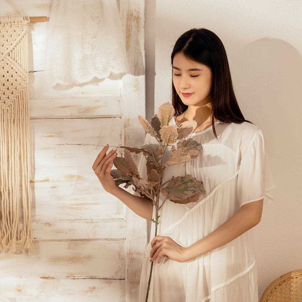 直销新款INS风干枯银叶菊仿真花家居装饰跨境婚庆假花MW82112