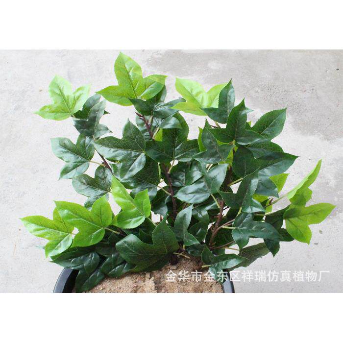仿子真假枫叶树三角枫春秋色落叶乔木景相思uxl叶槭树背程工装饰