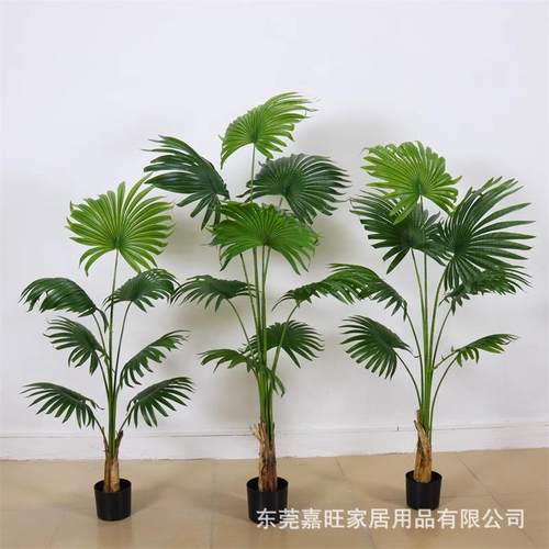 北欧仿真扇葵盆栽假植物室内加州蒲葵树绿植盆景客厅装饰落地摆件