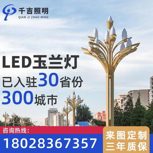 千吉玉兰灯8-12米景区路灯园林景观LED灯户外玉兰市政道路照明灯