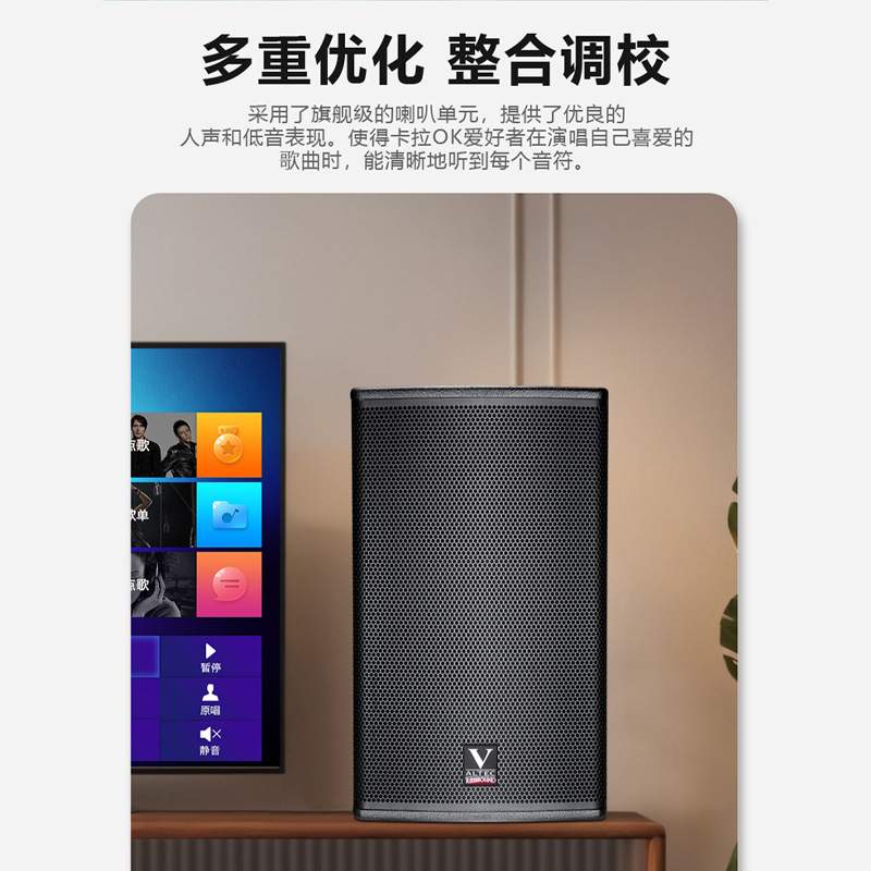 剧院之声M+系列专业音箱10~15寸全频桦木箱体170磁65芯低音高音质