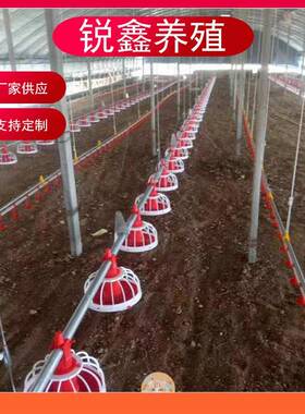 养WZA鸡设养备水线料线鸡水线散鸡水用线养鸡用自动鸡水线用水线
