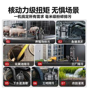 污水泵220v割泵抽粪泥浆污泵小型家用潜切水泵化排QHZ池粪抽水泵3