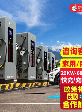 驴充0充电桩快充新TNS能源电动汽充车通用20/40/6/80/012kW/160kw