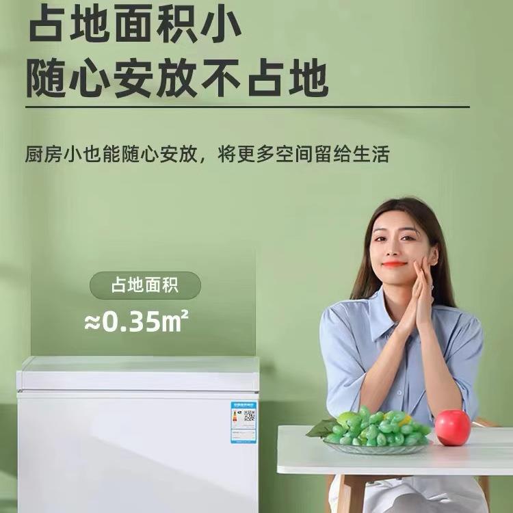 海尓冰柜一级节能家用小型全冷冻省电无霜两用迷你冷藏冰箱冷柜
