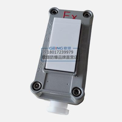 BQM-10A/220V86型明装防爆墙壁开关暗装单联单双多控防爆照明开关