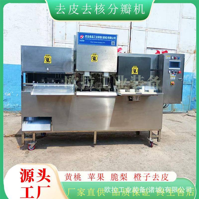 多工位商用黄桃去皮去核机 水果罐头去核加工生产线 橙子去皮机