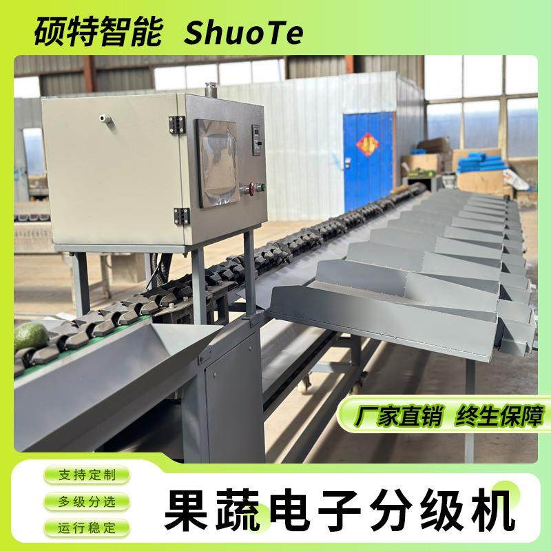 水果重量分选机 脐橙分选机器 哈密瓜称重分选设备厂家直销,清洗/食品/商业设备,肉制品加工设备,淘宝优惠券,粉丝福利购,淘宝优惠卷