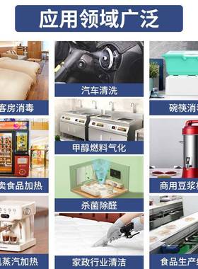 新电加热型蒸蒸汽生发生器商用高温蒸汽发热体即热式蒸汽CWM汽发