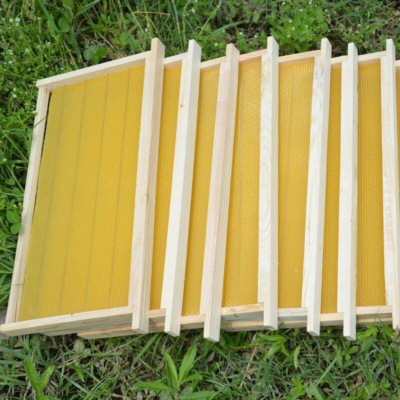 八千成品巢框蜜蜂巢础带框巢脾中蜂蜂巢杉木蜂箱专用全套养蜂工具