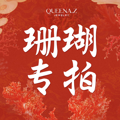 QUEENA.Z 珊瑚项链 配件略有不同