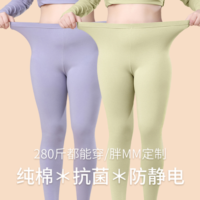 胖MM纯棉秋裤女士打底裤薄款衬裤加C肥加大码棉毛线裤全100%秋冬