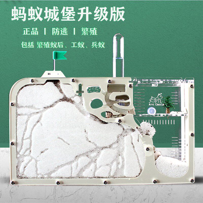 蚂蚁笼子蚂蚁巢沙巢蚂蚁工坊新型宠物蚂蚁巢蚂蚁R城堡养蚂蚁窝王