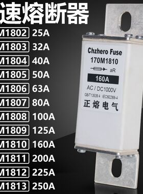 170M1813 170M1812 p170M1811 170M1810 170M1809 170M1808熔断器