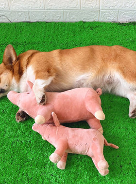 狗狗玩具猪伴侣陪宠物睡玩偶发情发泄磨牙毛绒柯基用品Z小型犬小