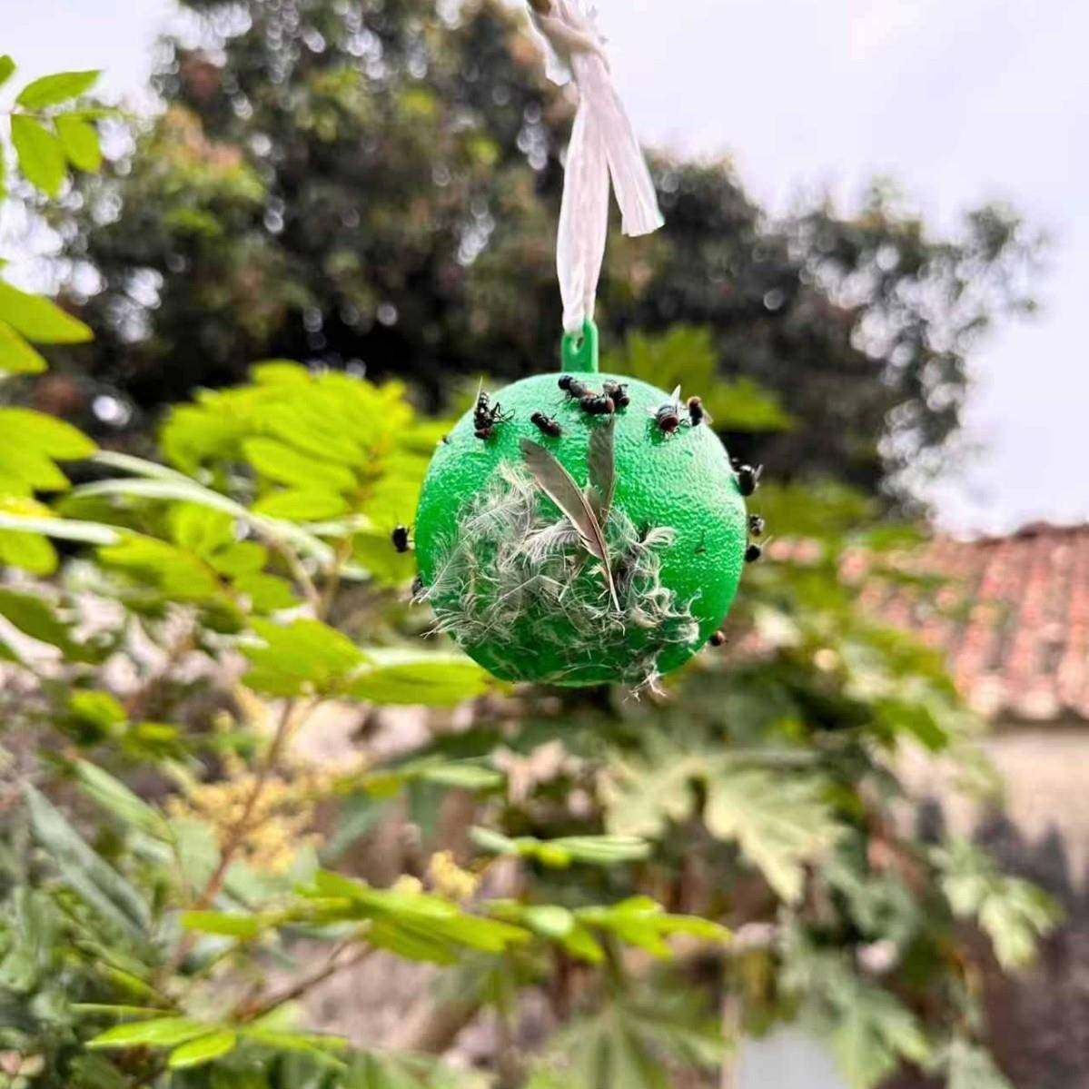 黄球诱蝇球瓜果实柑785橘大实蝇球针引锋诱蝇剂粘虫黄板果园果粘,美容美体仪器,其它面部美容工具配件,淘宝优惠券,粉丝福利购,淘宝优惠卷