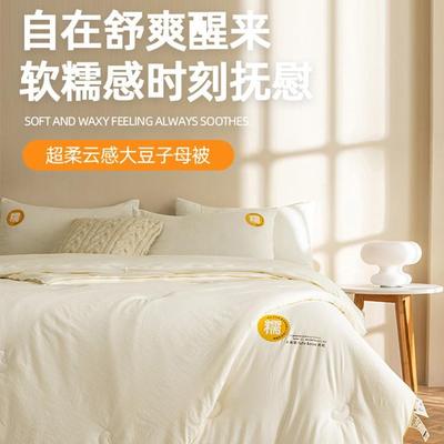 大豆纤合维被宿VNJ舍学生被芯子母被二加一冬拉链款厚被太空被春