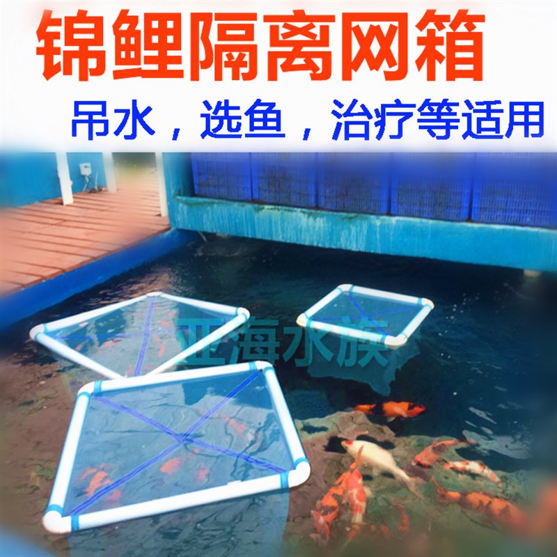 锦鲤隔离网箱漂浮网池暂养箱悬浮式内置转水网观赏鱼配对孵化网箱
