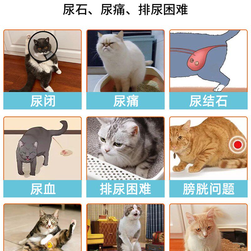 CD泌尿猫尿闭利尿处方猫罐头结石泌尿道系统尿路感染尿血补水猫粮