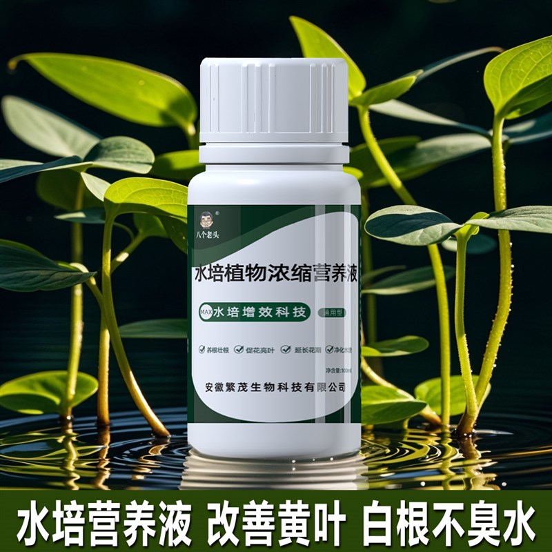 新品水培植物专用营养液家用盆栽富贵竹绿萝碗莲花卉通用绿植肥