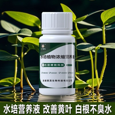 新品水培植物专用营养液家用盆栽富贵竹绿萝碗莲花卉通用绿植肥