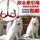宠物双头牵引绳狗绳两只狗狗一拖二牵引绳小中大型犬遛狗绳狗链