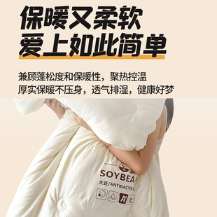 被褥单人学生被 小林寝饰A类大豆纤维被加厚10斤冬被春秋棉被四季