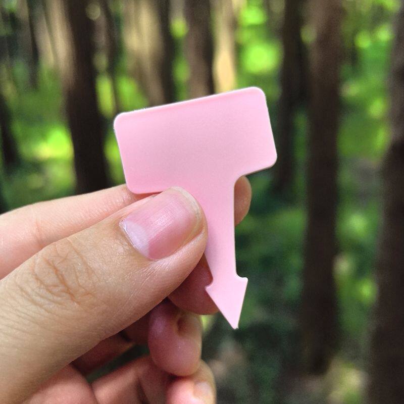 植物多肉标签插牌粉色可