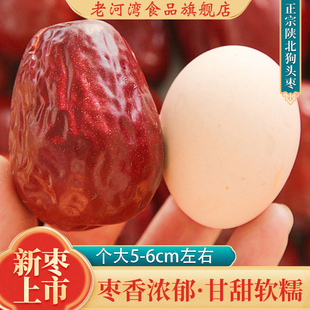 陕西狗头枣大红枣正宗延安狗头枣陕北特产枣500g每袋包邮