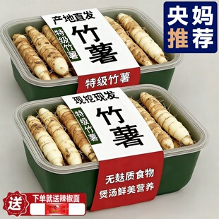 农家新鲜竹薯现挖无渣竹芋5斤当季冬粉薯凉粉薯根茎薯煲汤炒菜