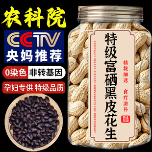 黑花生2025新货云南特产富硒黑花生带壳紫衣鲜生花生米官方旗舰店