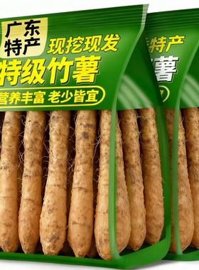 农家新鲜竹薯现挖无渣竹芋5斤当季冬粉薯凉粉薯根茎薯煲汤炒菜