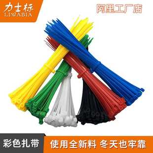 彩色束线带 尼龙扎带 红色绿黄蓝卡扣拉紧绳捆绑扎线带 塑料自锁式