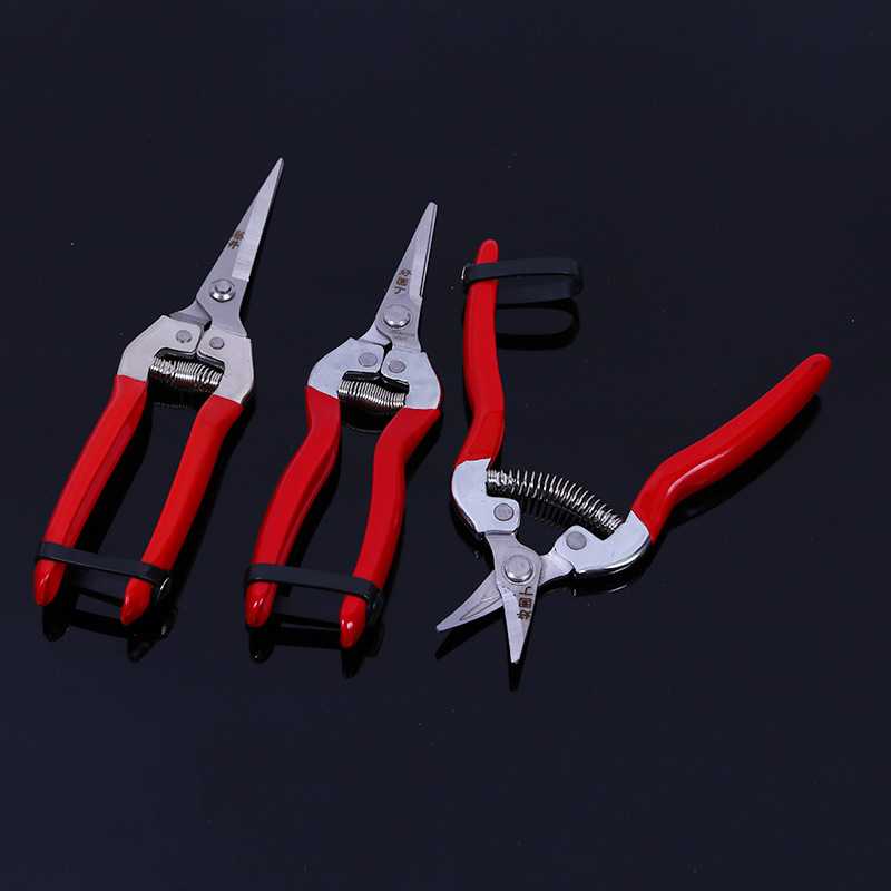 新款直销台湾好园丁园艺摘果剪刀 果树蔬果剪修枝剪 镀铬铁柄稀果