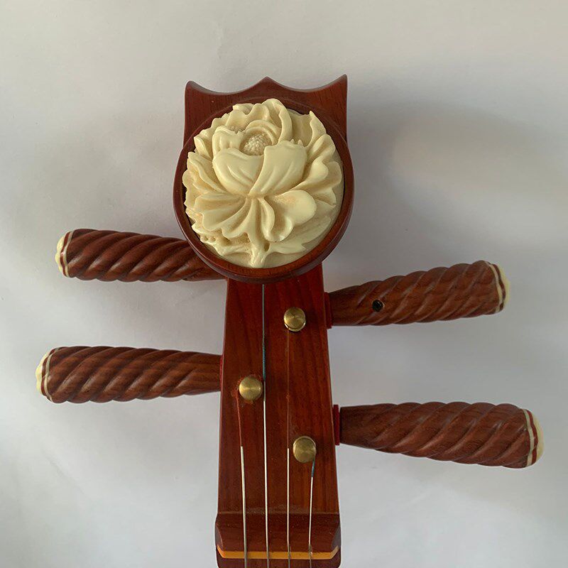 花梨贝雕中阮乐器红木中阮直头阮中阮尼龙品中阮阮琴铜品中阮