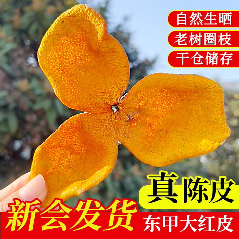 新会新陈皮2024年东甲大红皮新货陈皮干泡水橘子皮新会官方旗舰店