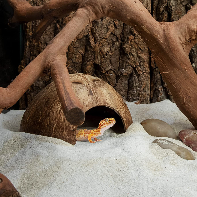 乌龟躲避洞椰子壳屋爬宠洞穴寄居蟹守宫角蛙饲养箱造景装饰用品
