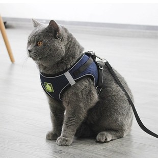 自动伸缩高颜值小猫透气宠物 猫咪牵引绳网红防挣脱外出背心式