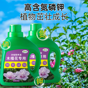 木槿花肥料木槿专用肥复合浓缩营养液花卉绿植开花养花家庭有机肥