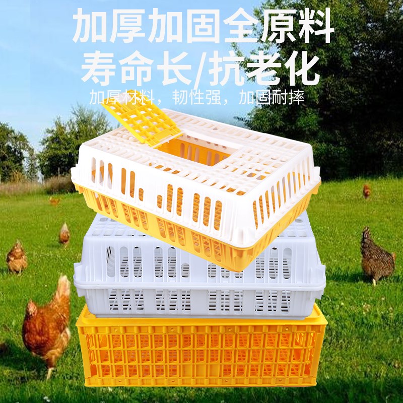 鸡笼塑料周转箱成鸡鸭鹅运输筐加厚大码鸡笼鸡鸭鹅鸽笼周转运输笼